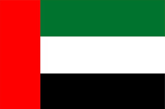 Dubai, UAE Flag